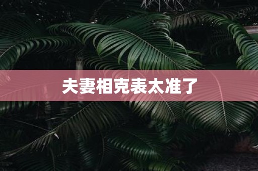 夫妻相克表太准了