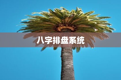 八字排盘系统