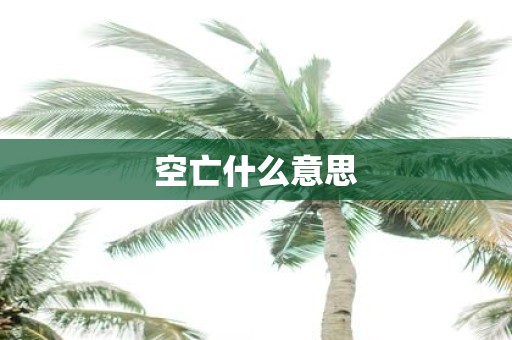 空亡什么意思