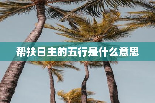 帮扶日主的五行是什么意思
