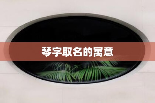 琴字取名的寓意