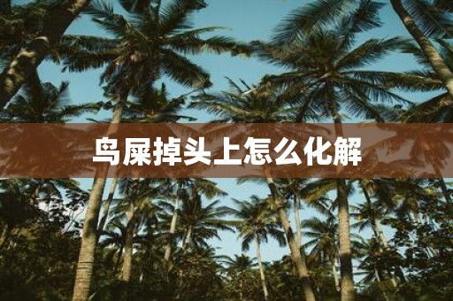 鸟屎掉头上怎么化解