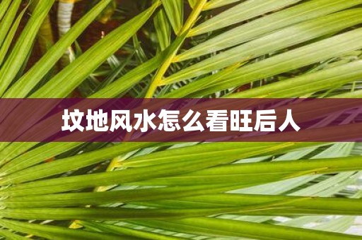坟地风水怎么看旺后人