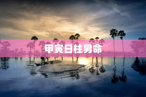 甲寅日柱男命