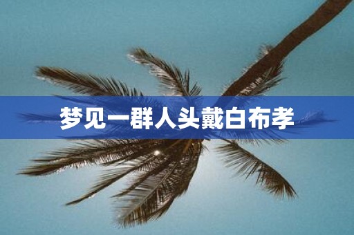 梦见一群人头戴白布孝