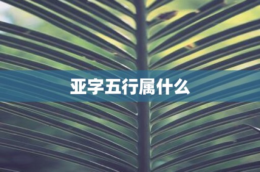 亚字五行属什么