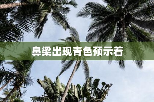 鼻梁出现青色预示着