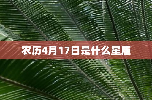 农历4月17日是什么星座