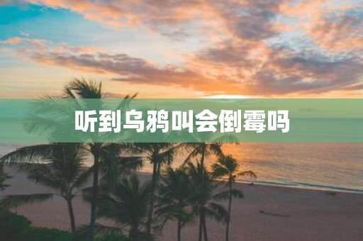 听到乌鸦叫会倒霉吗