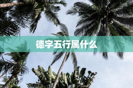 德字五行属什么