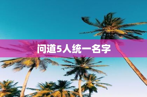 问道5人统一名字