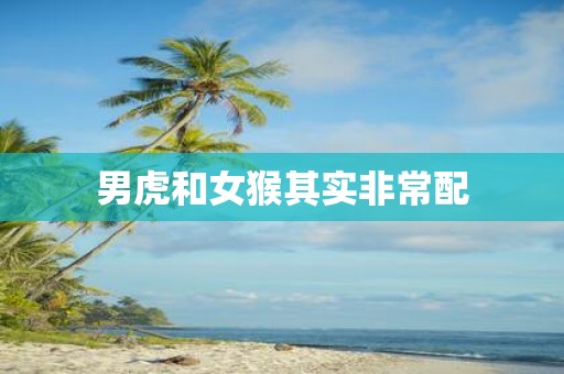 男虎和女猴其实非常配