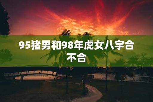 95猪男和98年虎女八字合不合