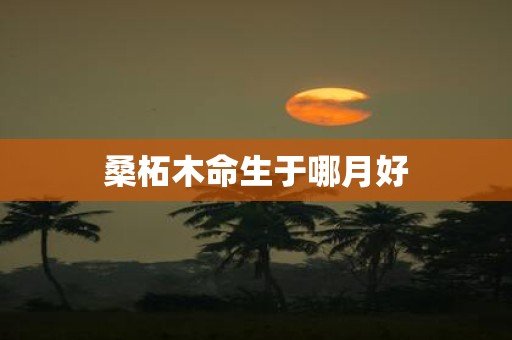 桑柘木命生于哪月好