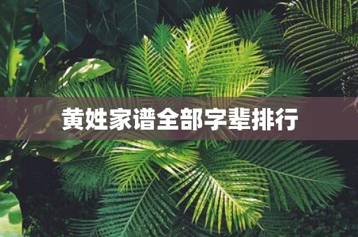 黄姓家谱全部字辈排行