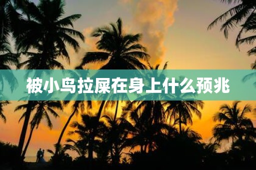 被小鸟拉屎在身上什么预兆