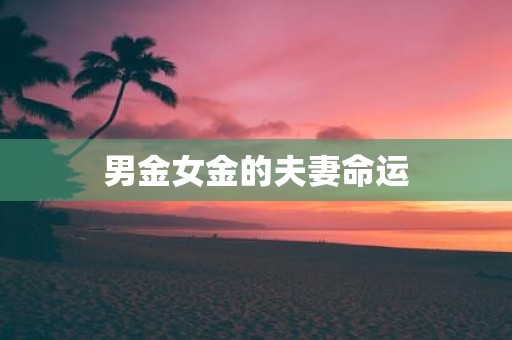 男金女金的夫妻命运