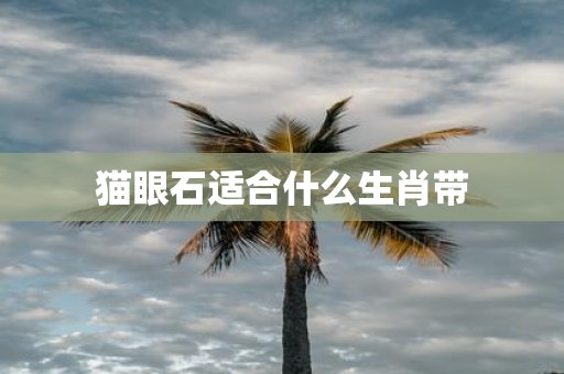 猫眼石适合什么生肖带