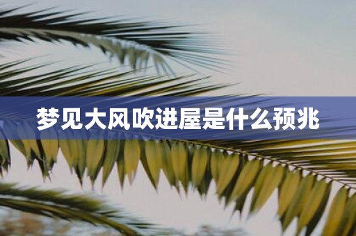 梦见大风吹进屋是什么预兆