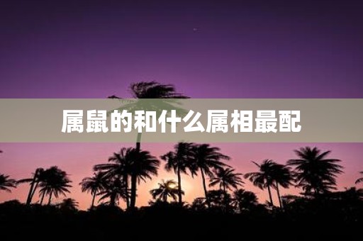 属鼠的和什么属相最配