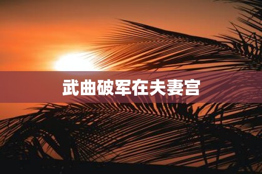 武曲破军在夫妻宫