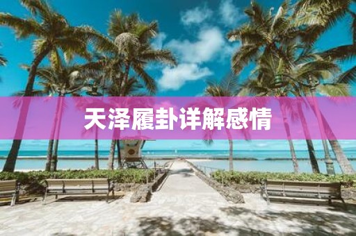 天泽履卦详解感情