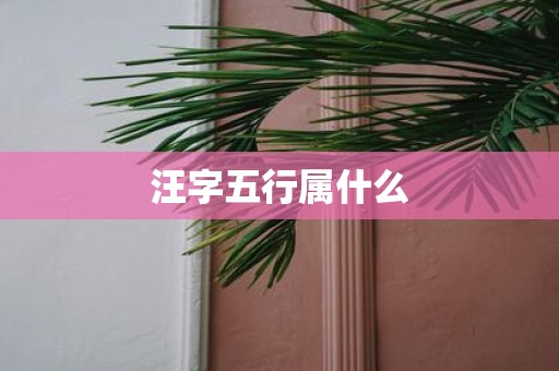 汪字五行属什么