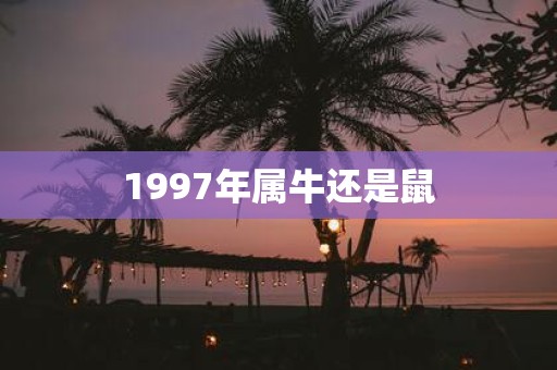 1997年属牛还是鼠