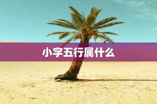 小字五行属什么