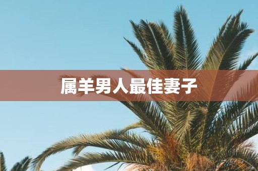 属羊男人最佳妻子
