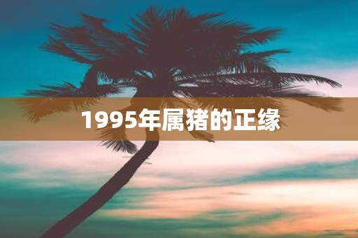 1995年属猪的正缘