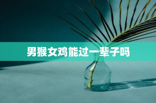 男猴女鸡能过一辈子吗