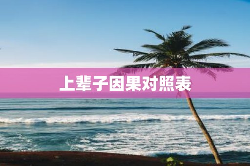 上辈子因果对照表