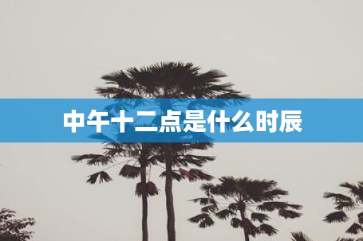 中午十二点是什么时辰