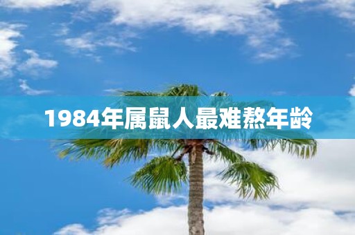 1984年属鼠人最难熬年龄