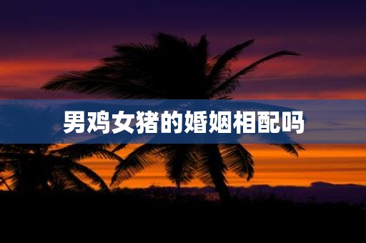 男鸡女猪的婚姻相配吗