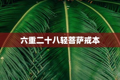 六重二十八轻菩萨戒本