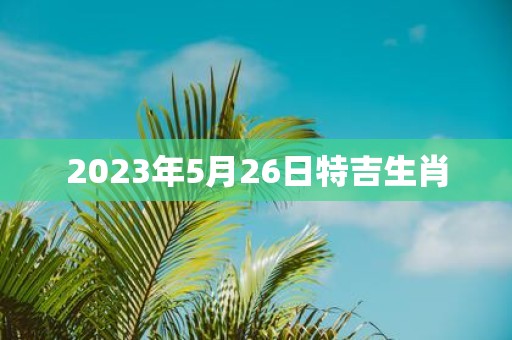 2025年5月26日特吉生肖