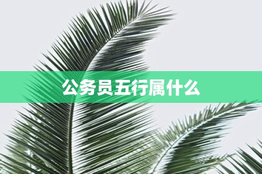 公务员五行属什么