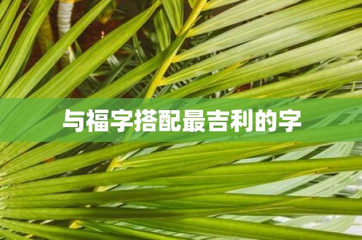 与福字搭配最吉利的字