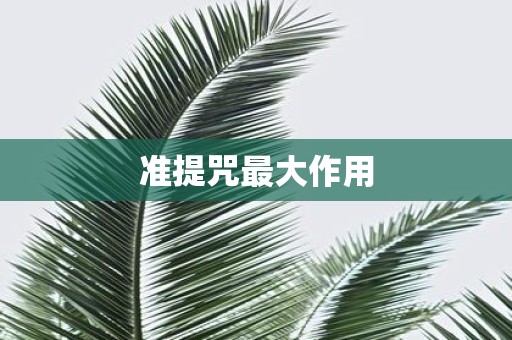 准提咒最大作用