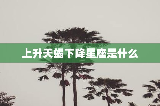 上升天蝎下降星座是什么