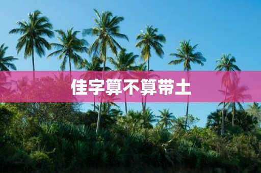 佳字算不算带土