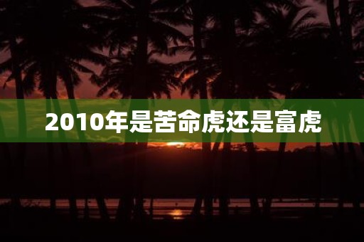 2010年是苦命虎还是富虎