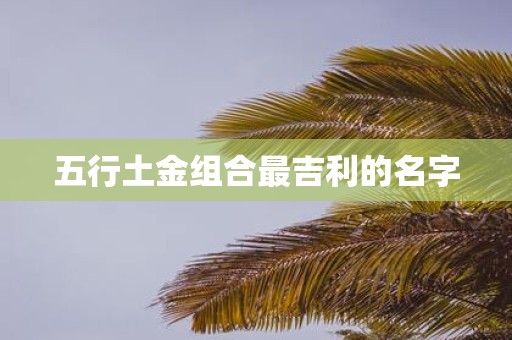 五行土金组合最吉利的名字