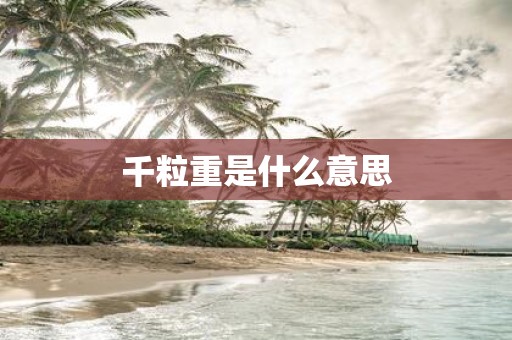 千粒重是什么意思