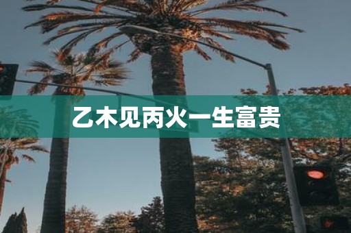 乙木见丙火一生富贵