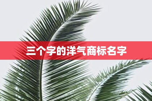 三个字的洋气商标名字