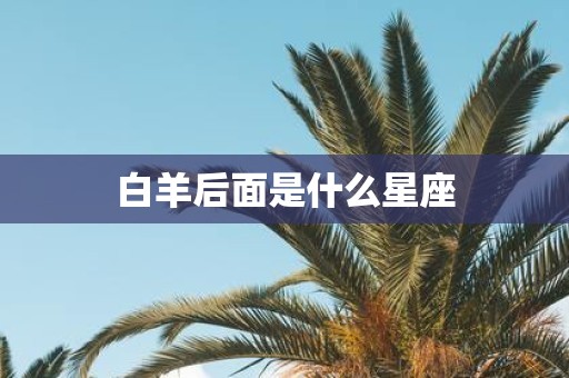 白羊后面是什么星座