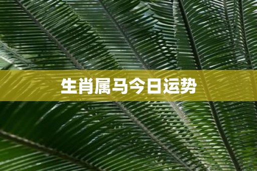 生肖属马今日运势
